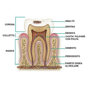 Cura del cavo orale tramite endodonzia